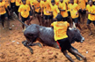 Protests intensify across Tamil Nadu against Jallikattu ban